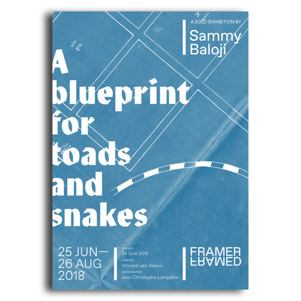 A Blueprint for Toads and Snakes - Digital