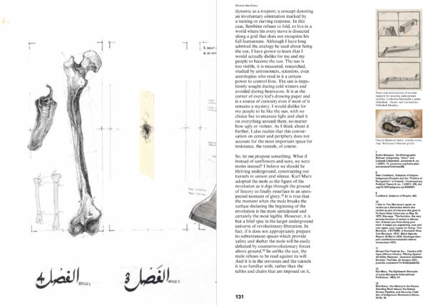 Errant Journal #8 Against Visibility (or, the Right to Opacity) – Print - Image 8