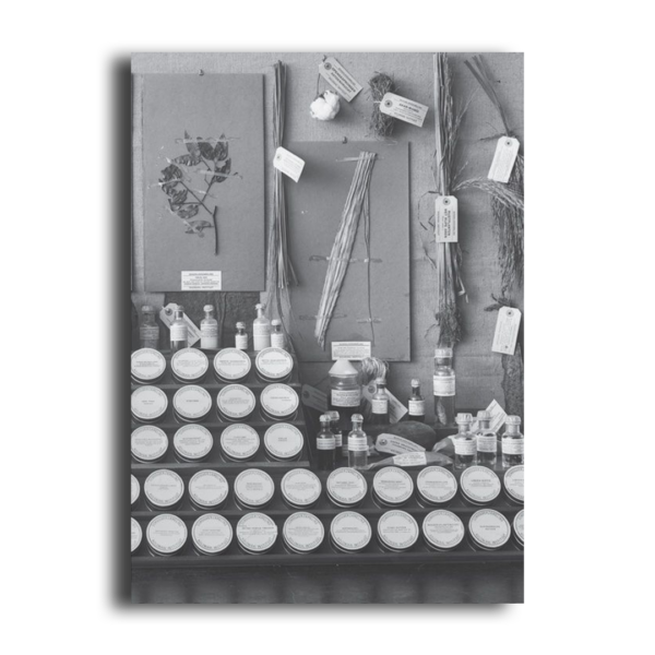 Emptying the Shelves