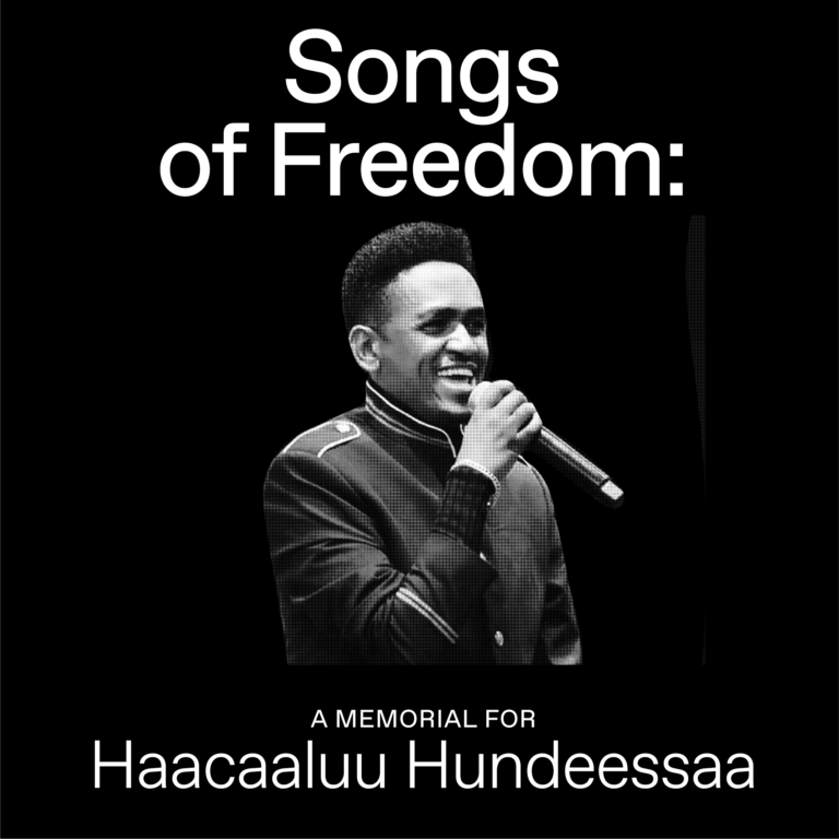 Songs of Freedom Een herdenking voor Haacaaluu Hundeessaa Framer Framed