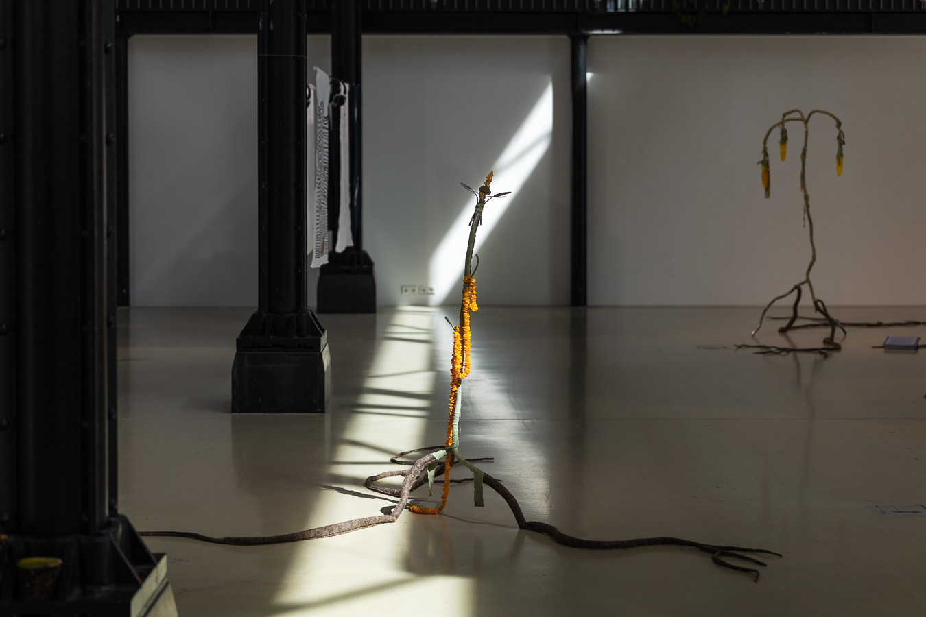 Lucila Pacheco Dehne, Roots Are Tongues That Speak a Million Angry Languages (2025). Installatiefoto van de tentoonstelling Planetary Poetics (2025) bij Framer Framed, Amsterdam. Foto: © Maarten Nauw / Framer Framed.