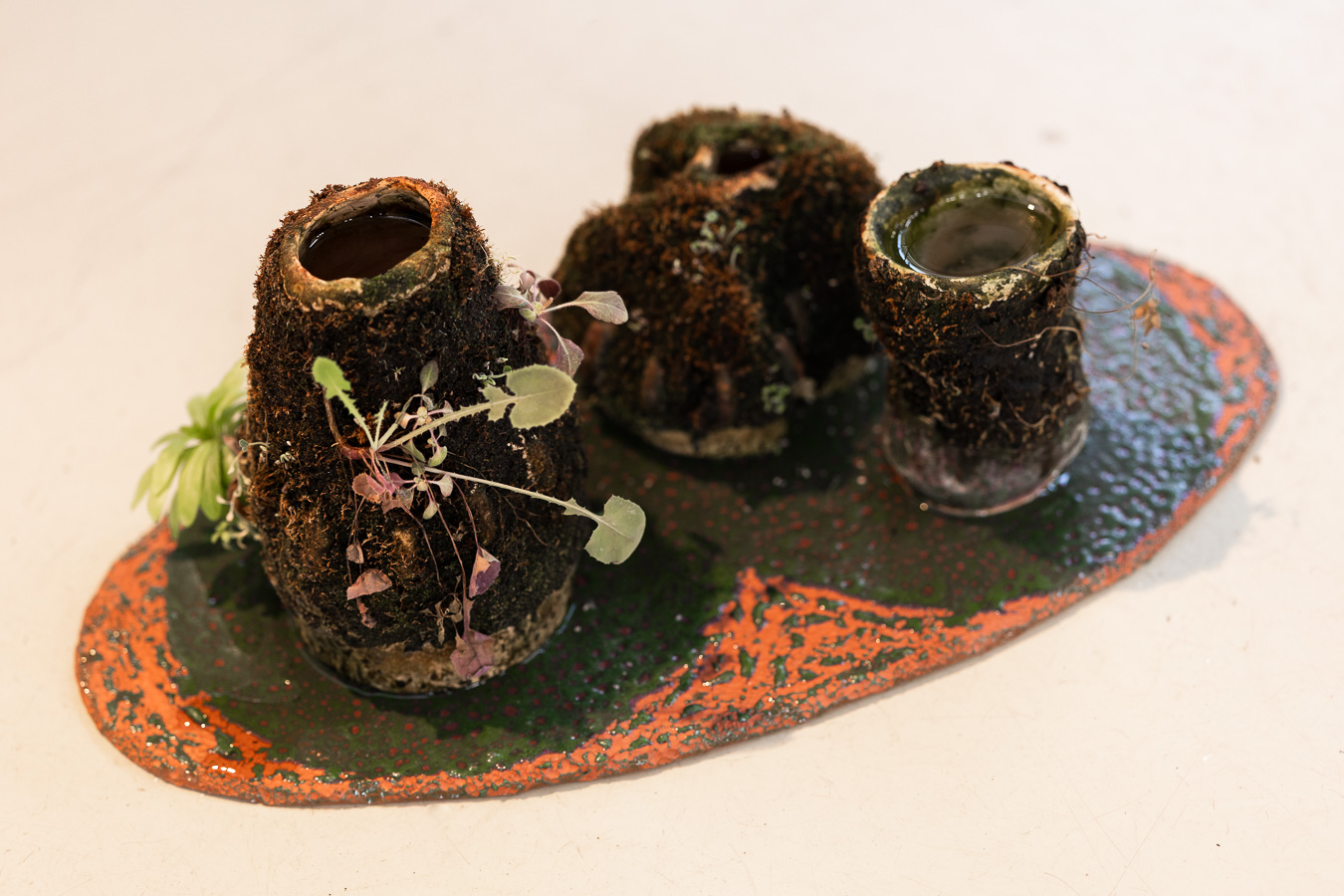 Arthur Guilleminot, Elegy to the Frogs (2025). Installatiefoto van de tentoonstelling Planetary Poetics (2025) bij Framer Framed, Amsterdam. Foto: © Maarten Nauw / Framer Framed.
