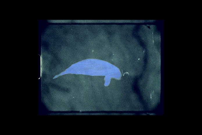 Still from The Moonshore II: Our Coordinates (2023), by Fei Yining.