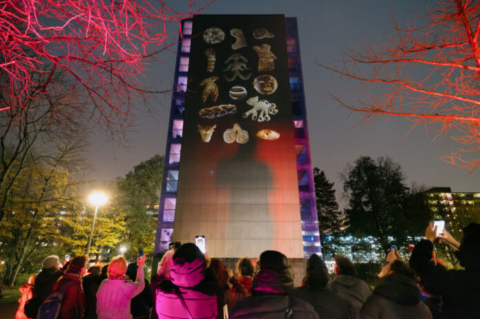 Lichtinstallatie Broodkunst in de Molenwijk. Foto: © Ben Yau / Framer Framed