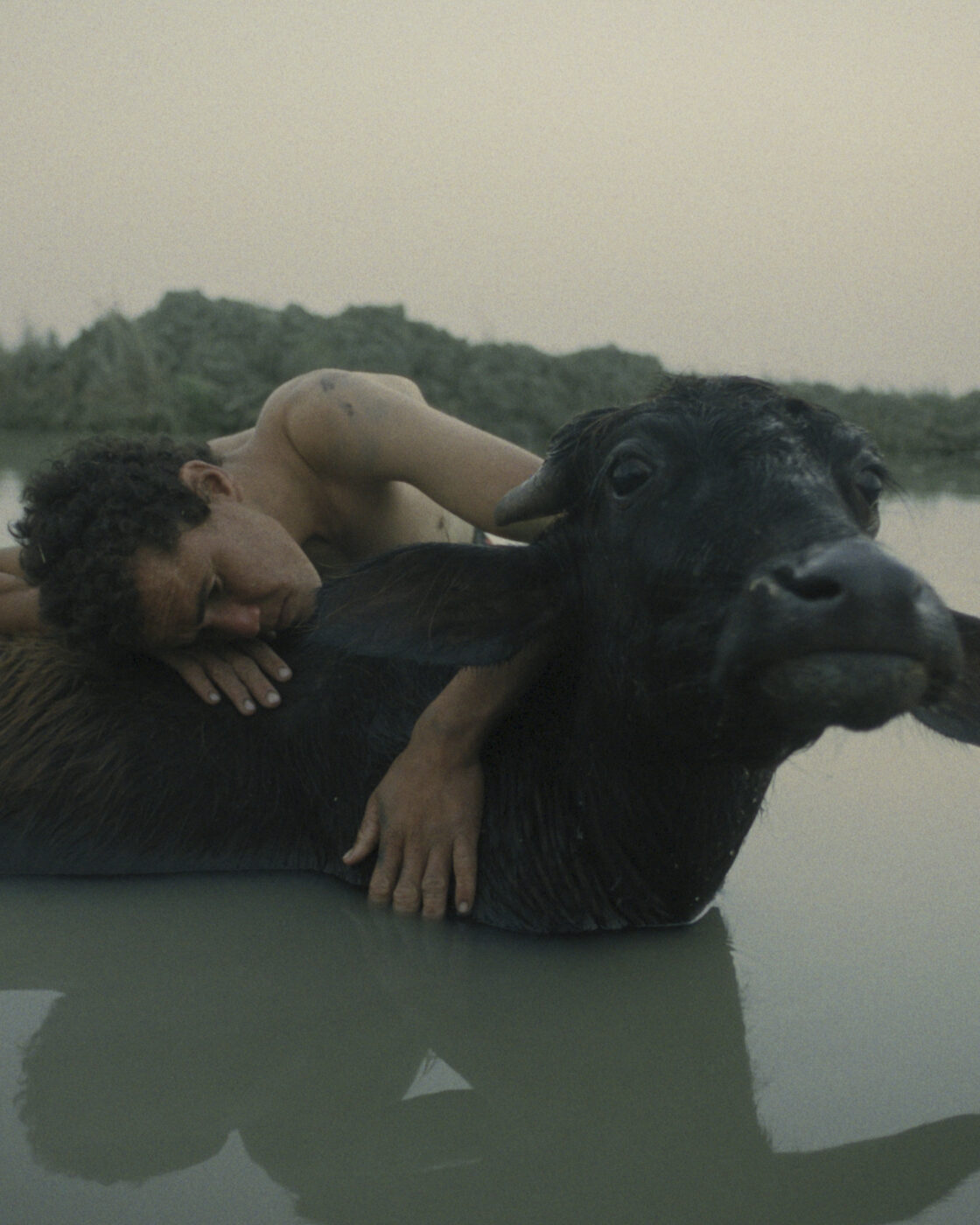 Sprouts Film Festival: Aquatische Korte Films