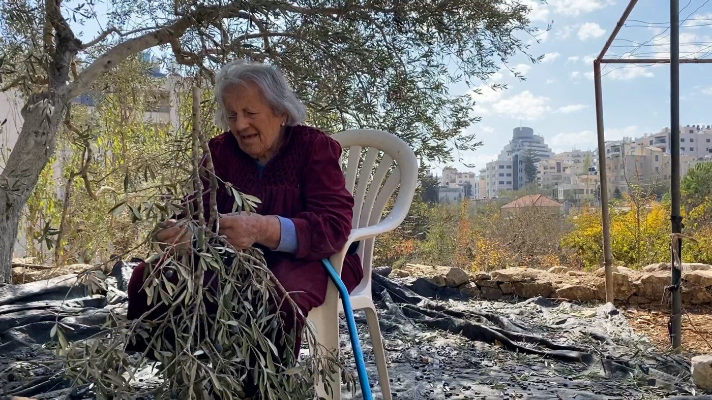 Still from Azziza: In a Cherished Land (⁨بأرض عزيزة⁩) by Tareq Khalaf. Courtesy of the artist.